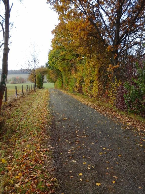 Ferienwohnungen Blum Kelberg Exterior foto