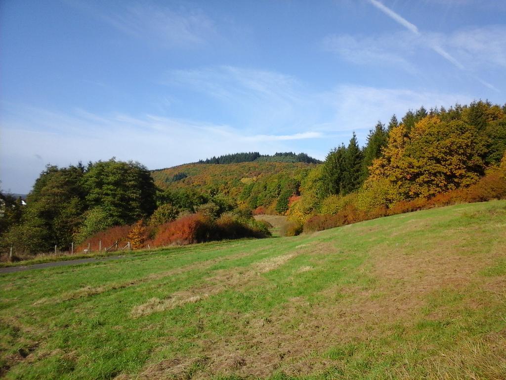 Ferienwohnungen Blum Kelberg Exterior foto